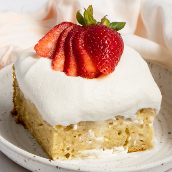 Vegan Tres Leches Cake - Recipe photo by Zardyplants