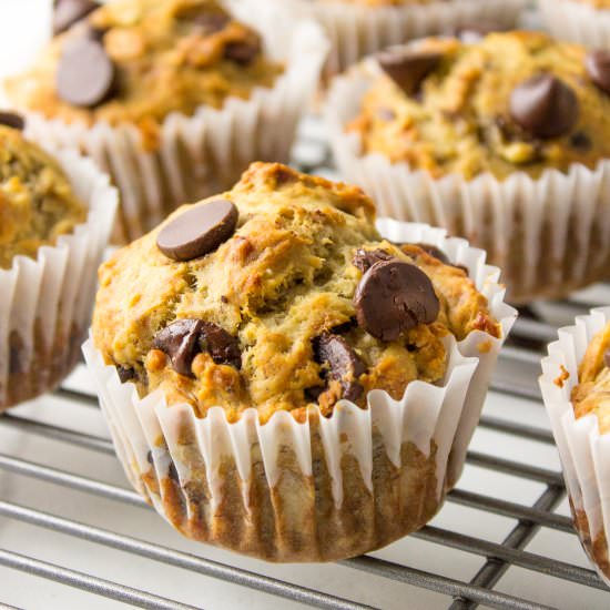 Banana Chocolate Chip Muffins - Recipe photo by AllThingsMamma
