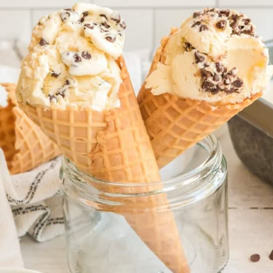 Vanilla Chocolate Chip Ice Cream - Recipe photo by OnMyKidsPlate