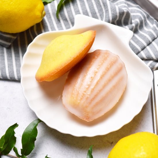 Lemon Madeleienes - Recipe photo by Jaja Bakes