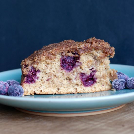 Vegan Blueberry Coffee Cake - Recipe photo by theconscientiouseater