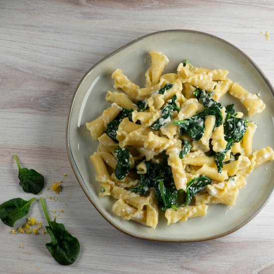 Pasta with Lemon Ricotta Sauce! - Recipe photo by Framed Cooks