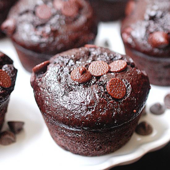 Chocolate milk muffins - Recipe photo by evabakes