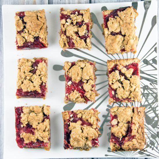 Strawberry Rhubarb Oatmeal Bars - Recipe photo by bunsenburnerbakery
