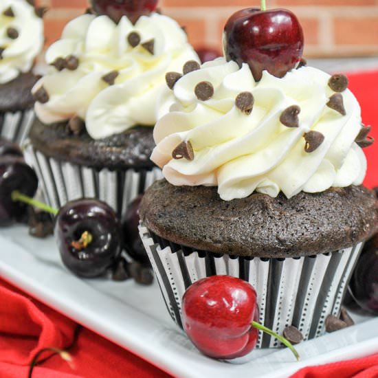 Black Forest Cupcakes - Recipe photo by BakingBeauty