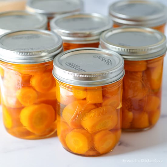 Canning Carrots - Recipe photo by BeyondtheCoop