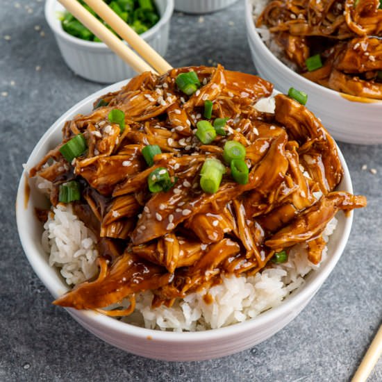Slow Cooker Honey Teriyaki Chicken - Recipe photo by SlowCookerMeals