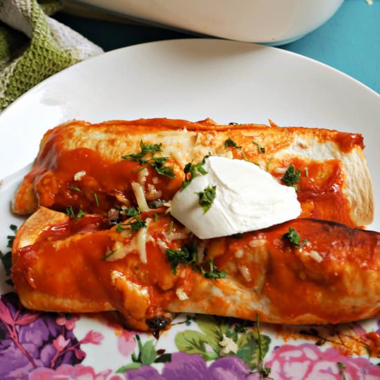 Chicken and Bean Enchiladas - Recipe photo by mygorgeousrecipes