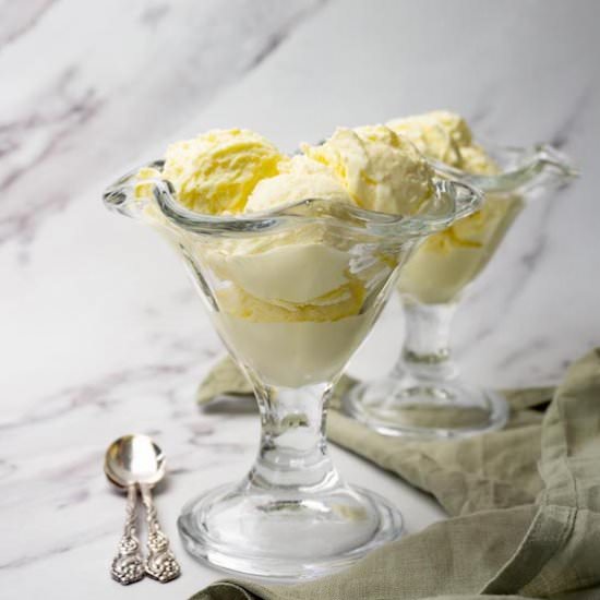 Condensed milk ice cream - Recipe photo by sugarpursuit