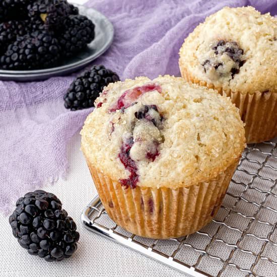 Blackberry Buttermilk Muffins - Recipe photo by live to sweet