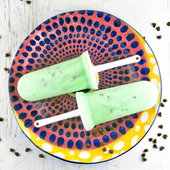 Mint Chocolate Chip Yogurt Popsicle - Recipe photo by bunsenburnerbakery