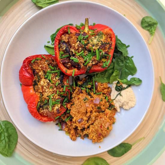 Vegan Quinoa Stuffed Peppers - Recipe photo by russellsomethingup