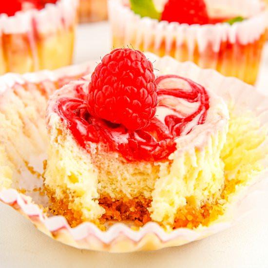 Raspberry Swirl Cheesecake Cupcakes - Recipe photo by FoodFolksandFun