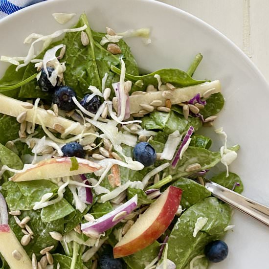 Healthy Spinach Blueberry Salad - Recipe photo by amycaseycooks