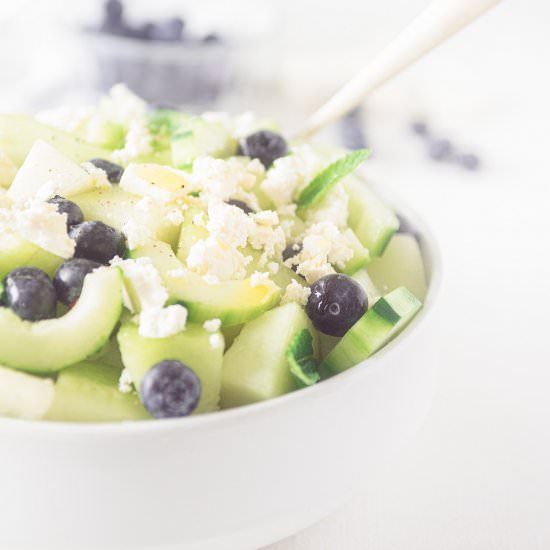 Melon and Blueberry Fruit Salad - Recipe photo by Andrea Janssen