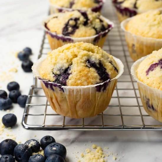 Blueberry muffins - Recipe photo by sugarpursuit