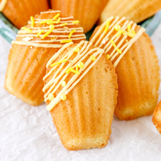 Lemon Madeleines with Almond Flour - Recipe photo by Bakes and Blunders