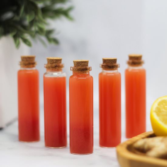 Watermelon Lemon Ginger Shots - Recipe photo by jenna@heavenlyspiced.com