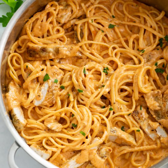 Tomato Chicken Pasta - Recipe photo by TheCozyCook