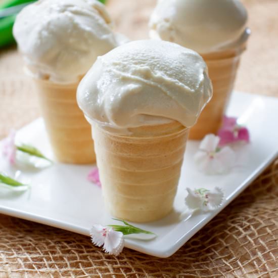 Three-ingredient vanilla ice cream - Recipe photo by mecooks.com