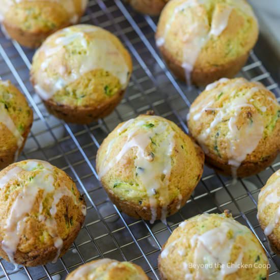 Lemon Zucchini Muffins - Recipe photo by BeyondtheCoop