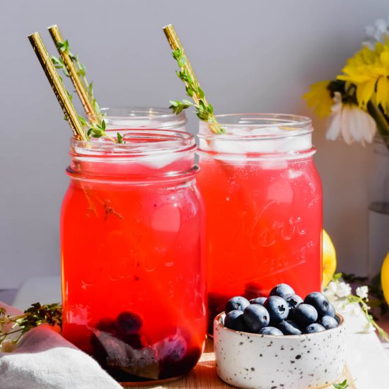 Blueberry Vodka Lemonade - Recipe photo by apaigeofpositivity