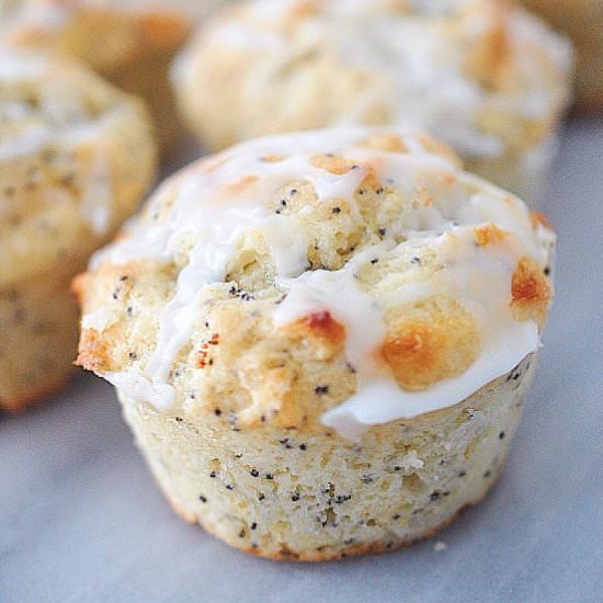 Lemon poppy seed muffin - Recipe photo by evabakes