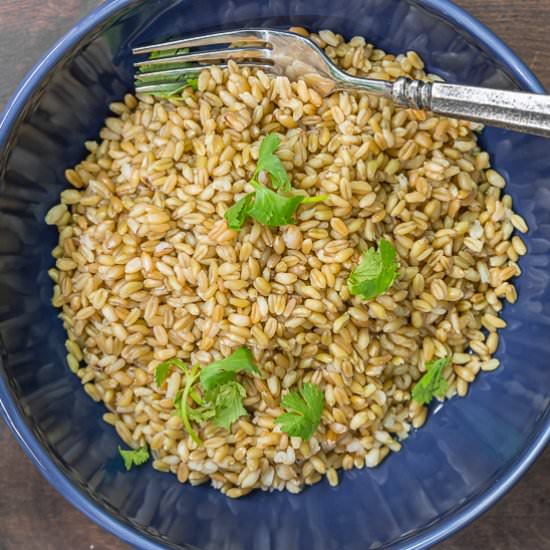 How to Cook Freekeh (Freekeh 101) - Recipe photo by The Mediterranean Dish