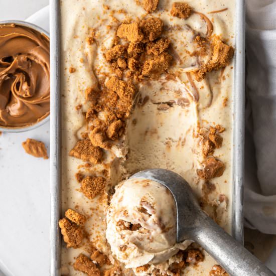 cookie butter ice cream - Recipe photo by withspice
