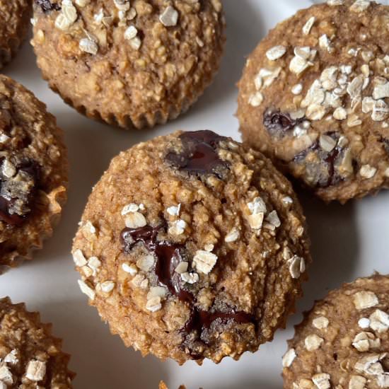 Oatmeal Chocolate Chip Muffins - Recipe photo by HungryBlonde