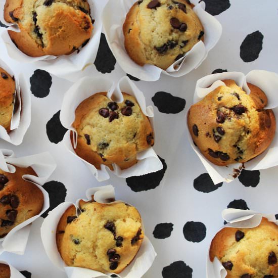 Chocolate chip muffins - Recipe photo by hornoMX