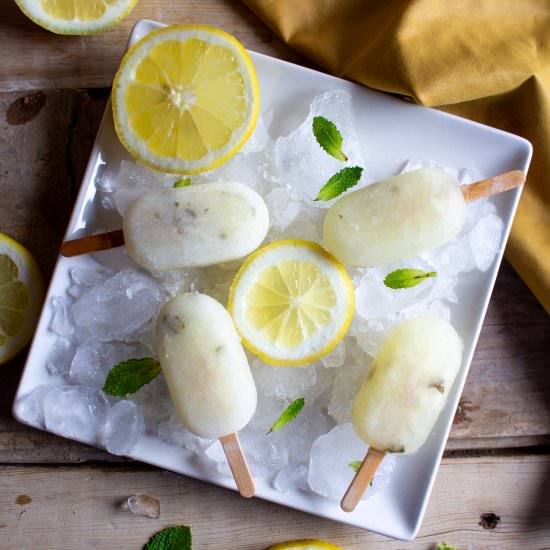 lemon peppermint popsicles - Recipe photo by hillcitybride