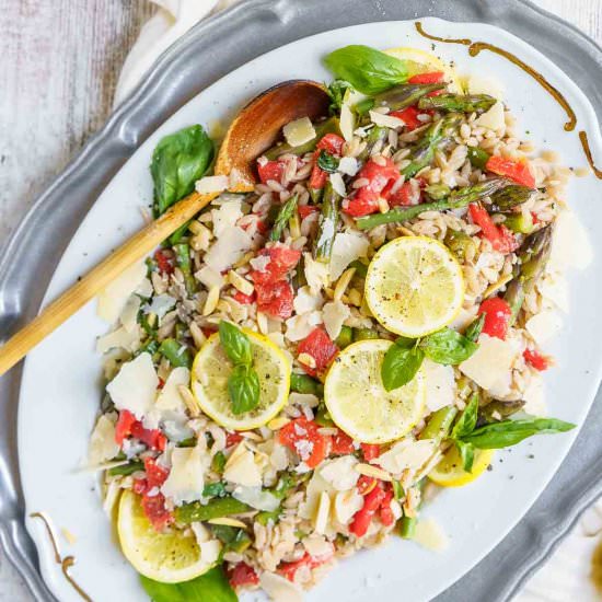 Lemon Orzo Salad - Recipe photo by peelwithzeal