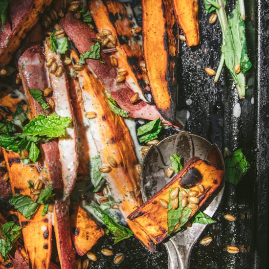 Grilled Sweet Potato Salad - Recipe photo by emily_garlichead