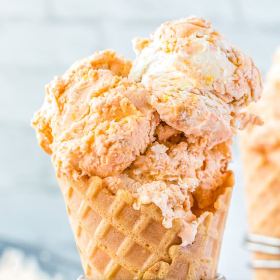 Butterscotch Ice Cream - Recipe photo by EasyBudgetRecipes