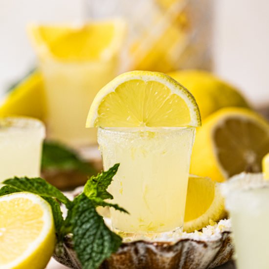 Lemon Drop Shot - Recipe photo by BritneyBreaksBread