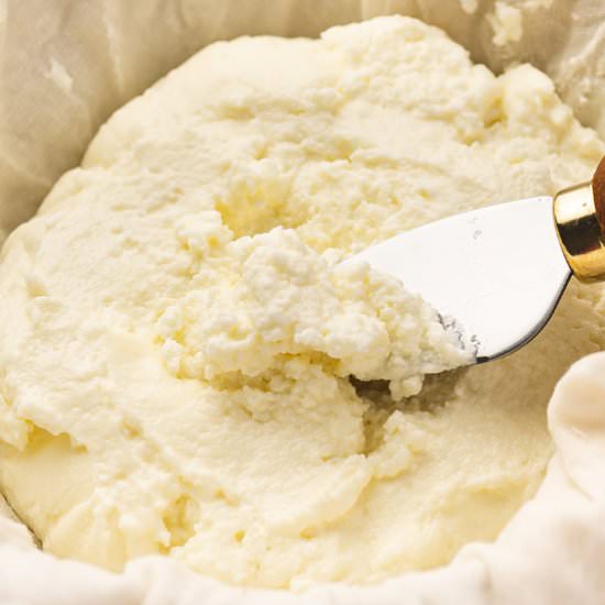 Homemade Ricotta Cheese - Recipe photo by bellyfull