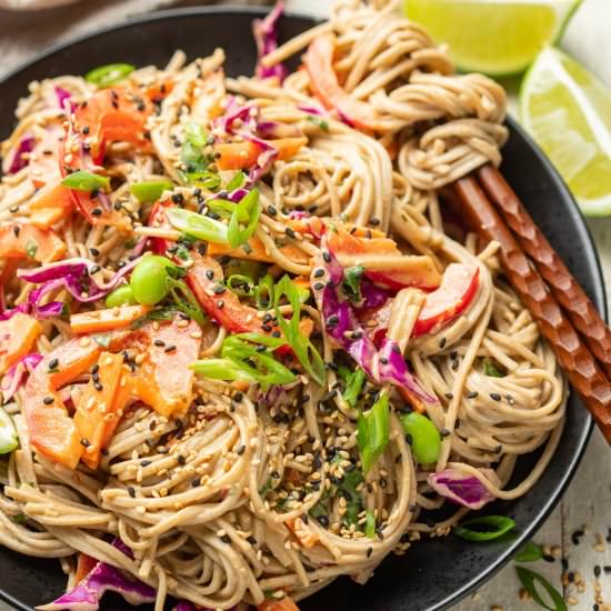 Soba Noodle Salad - Recipe photo by Connoisseurus Veg