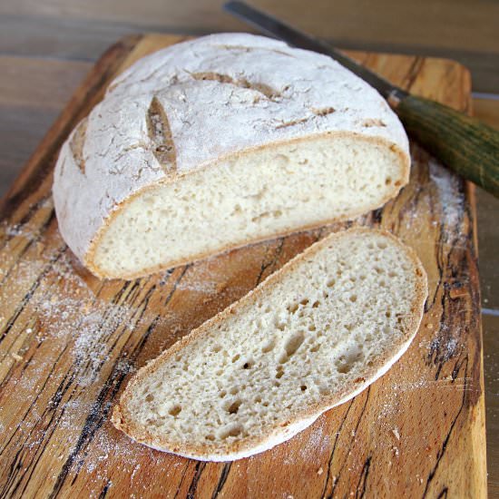 Gluten Free Artisan Bread Boule - Recipe photo by glutenfreealchemist
