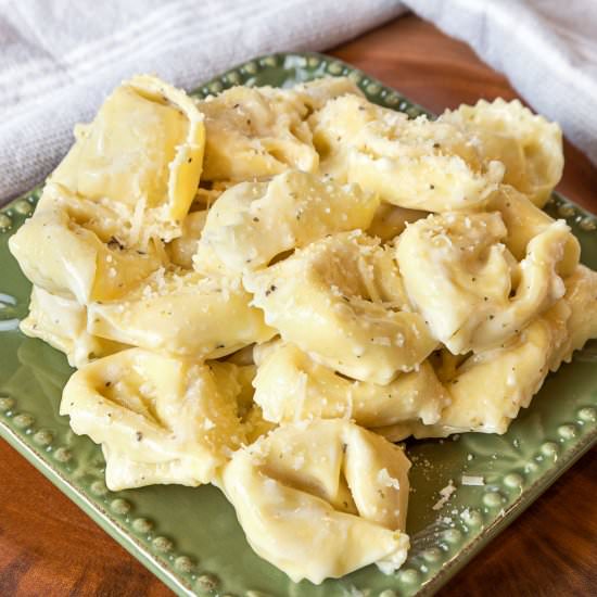 Creamy Five Cheese Tortelloni - Recipe photo by tamararay