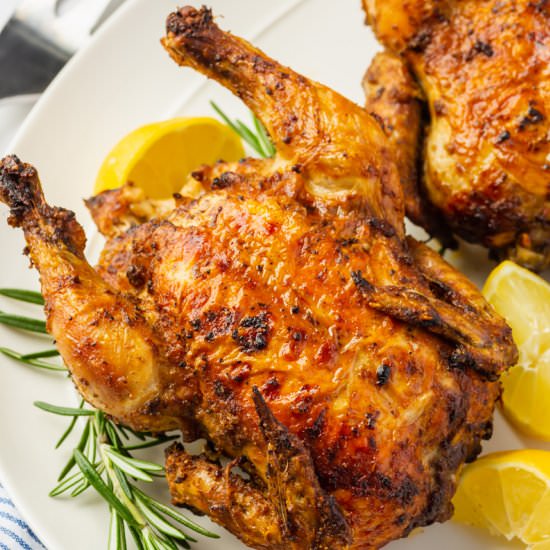 Air Fryer Cornish Hen - Recipe photo by Air Fryer Eats