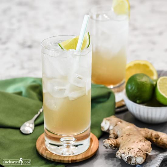 Homemade Ginger Ale - Recipe photo by Encharted Cook