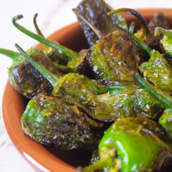Padron Peppers -5 min tapas recipe! - Recipe photo by The Spanish Radish
