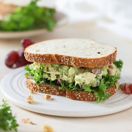 Avocado Chicken Salad - Recipe photo by farmflavor