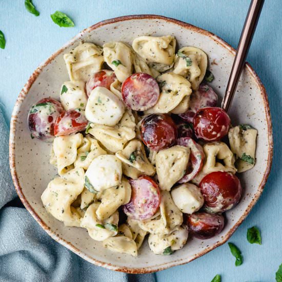 Tortellini Caprese Salad - Recipe photo by Chef Molly