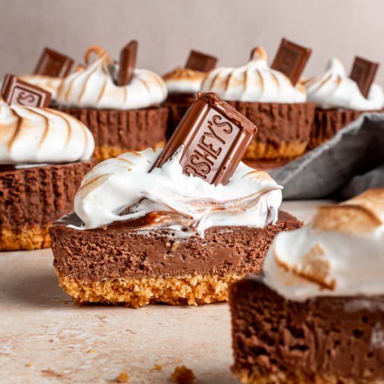 mini s’mores cheesecakes - Recipe photo by whisked away kitchen