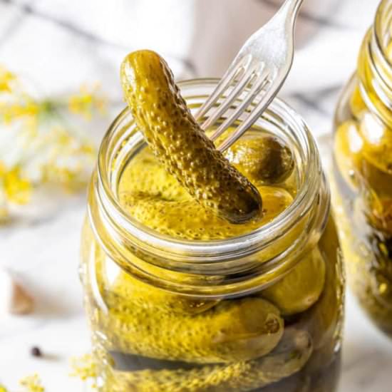 Homemade Canned Dill Pickles - Recipe photo by allweeat