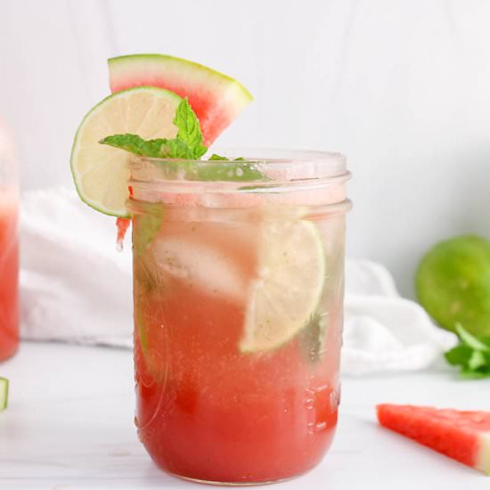 Watermelon Mojito Mocktail - Recipe photo by plantbasedjess