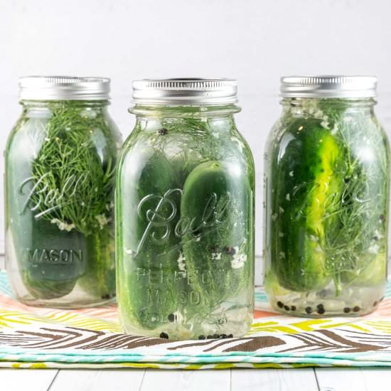 Garlicky Dill Refrigerator Pickles - Recipe photo by bunsenburnerbakery