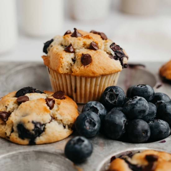 Blueberry Chocolate Chip Muffins - Recipe photo by alpineella